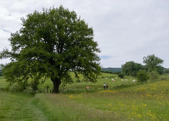 Recreatieboerderij Tergracht - T Schob Appartement
