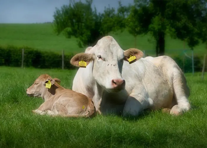 Recreatieboerderij Tergracht - T Schob * Epen